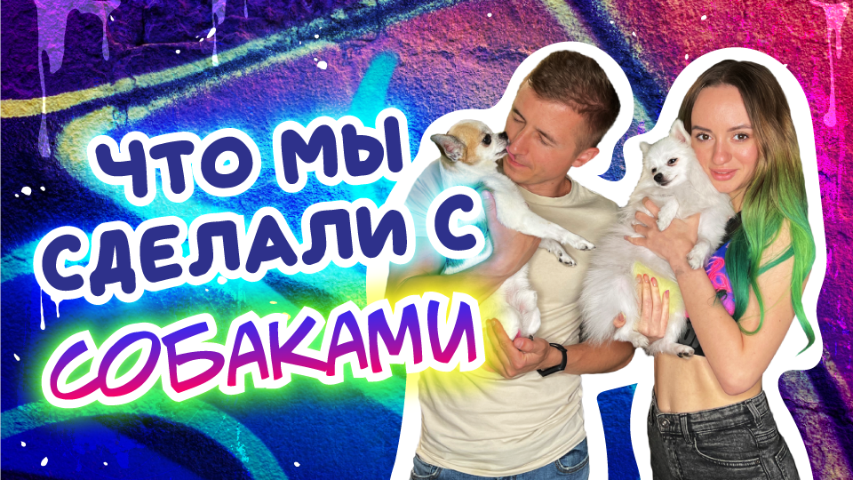 Как красиво покрасить собаку смотреть онлайн