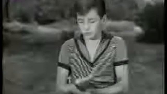 The June Allyson Show S02E05 Play Acting.with Steve Allen смотреть онлайн