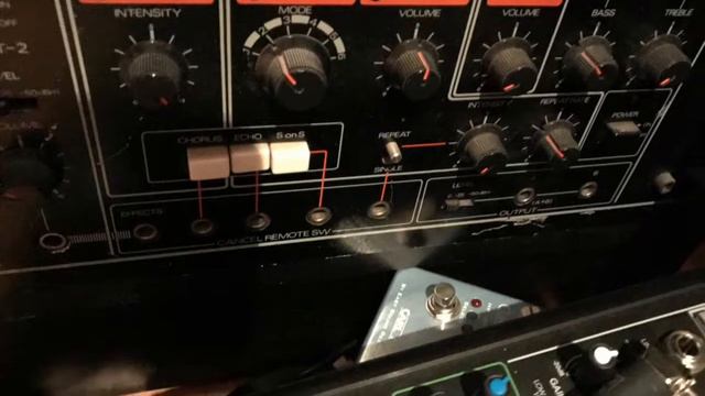 Heavyweight Dub & Reggae Loop Pack смотреть онлайн