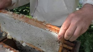 МЁД НЕ ЗАПЕЧАТАН КАЧАТЬ ИЛИ НЕТ.