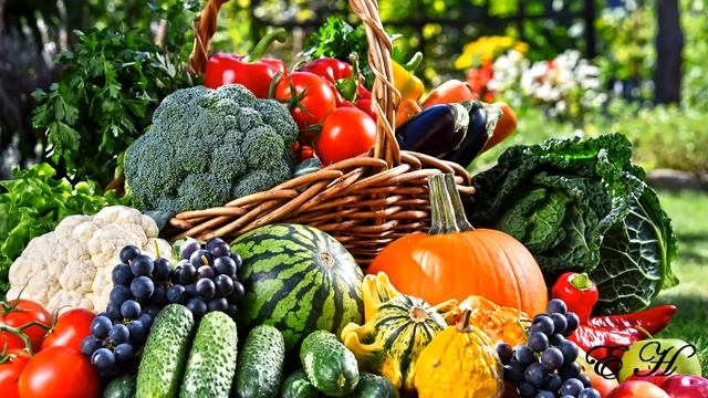 Сад огород смотреть онлайн