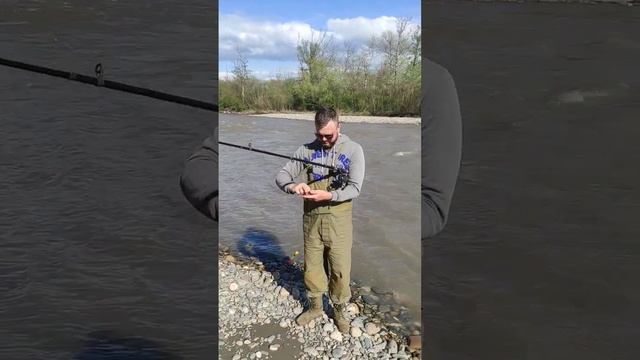 #Рыбалка для кошки которая родила котят. #Б.Зеленчук смотреть онлайн