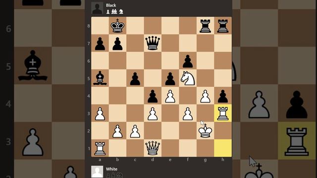 Marco Cordeiro - Mestre Nacional de Xadrez - Partidas do VI Floripa Chess Open. смотреть онлайн