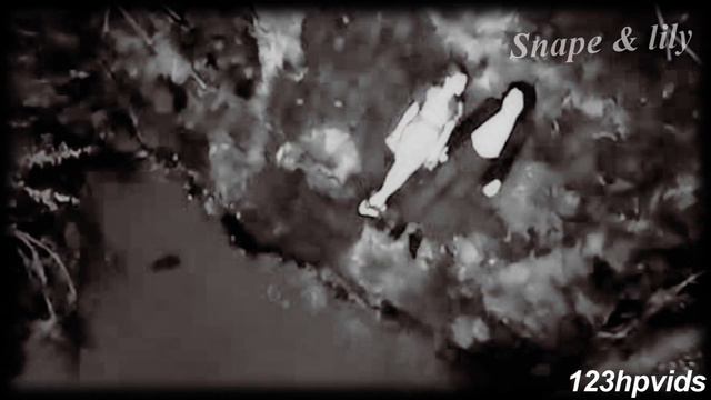 Snape & lily I wear my Heart On My Sleeve (HP) смотреть онлайн