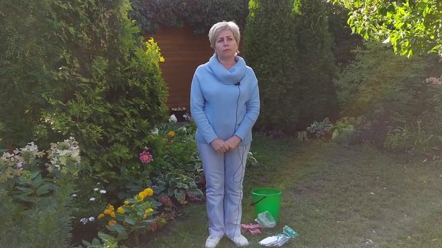 ВСЕ ЧТО НУЖНО ЗНАТЬ О КУПОРОСАХ В ОДНОМ ВИДЕО / Садовый гид смотреть онлайн