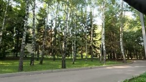 Богач взял домработницей бродяжку с малышом… А уговорив ее стать женой на час на встрече выпускнико