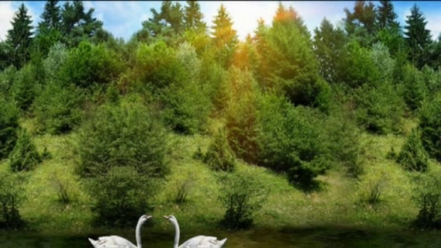 новый фильм.movie