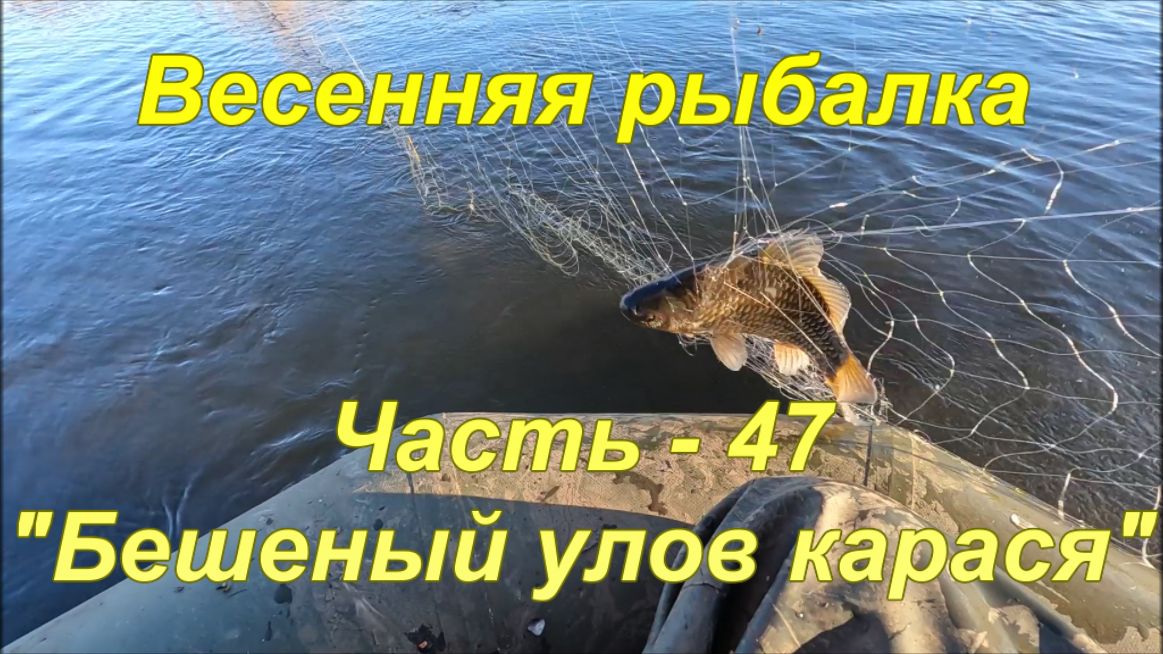 Весенняя рыбалка. Часть - 47 "Бешеный улов карася". смотреть онлайн