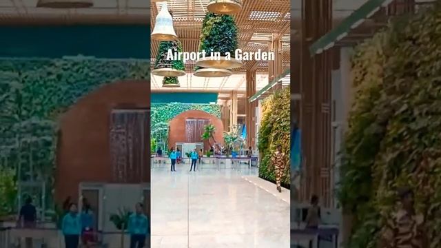 Airport in a Garden | Bangalore airport | Garden City Bengaluru #trending #bangalore #sorts #airpor смотреть онлайн