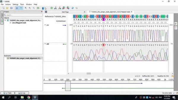 Обработка результатов секвенирования в программе UGENE. Часть 1.