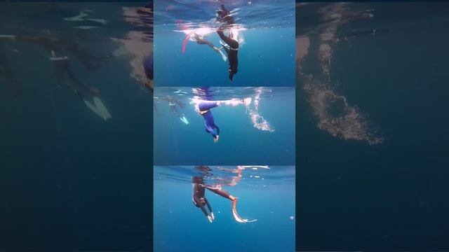 Duck Dive Ninjas смотреть онлайн