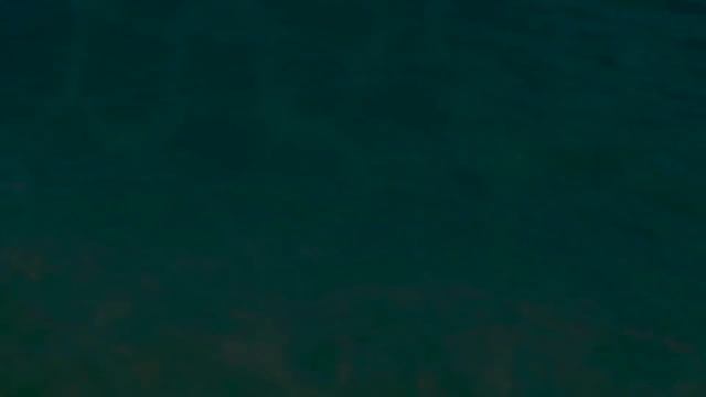 Imany - Don't Be So Shy (Filatov & Karas Remix) (Lyrics Video) смотреть онлайн