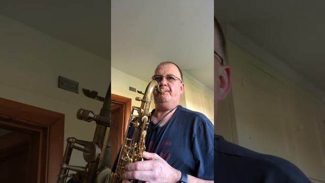 Just Learning Saxophone She’s Like the Wind - Yanagisawa AWO20 смотреть онлайн