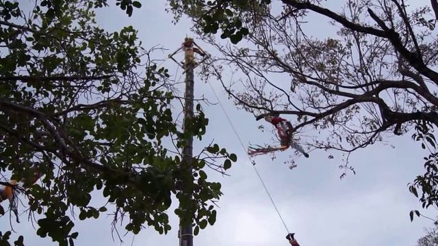 Мексика парк xcaret смотреть онлайн
