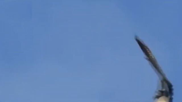 СОКОЛ В НЕБЕ Владислав Агафонов смотреть онлайн