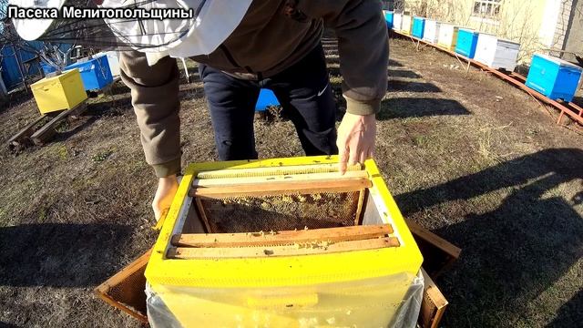 Сокращение пчелиного гнезда в зиму смотреть онлайн