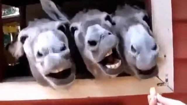 Дай миллион! смотреть онлайн