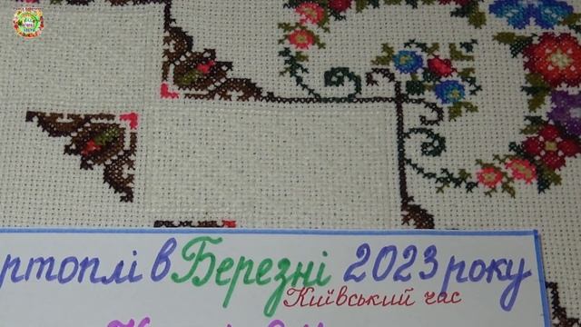 Агрогороскоп яровизации картофеля в марте 2023 года. Агрогороскоп яровизації картоплі в березні смотреть онлайн