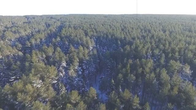 Псалмы Вальравна | КРАСНОЕ смотреть онлайн