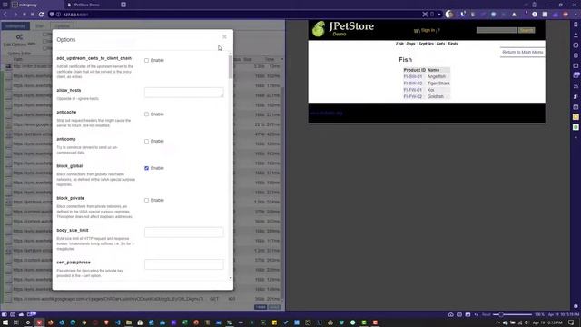 Learn mitmproxy #2 - Record, Replay, Intercept, and Modify HTTP Requests using mitmweb смотреть онлайн