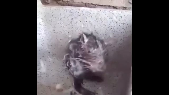 влад моется в душе смотреть онлайн