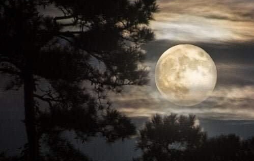 Не Эрато и не Эвтерпа