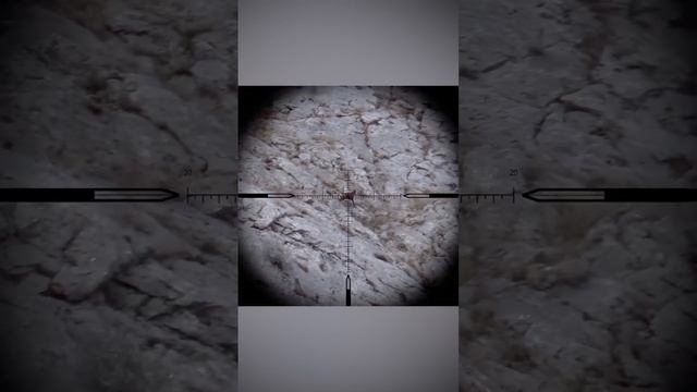 ДОБЫЧА самой МАЛЕНЬКОЙ серны в МИРЕ смотреть онлайн
