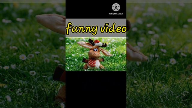 funnys video смотреть онлайн
