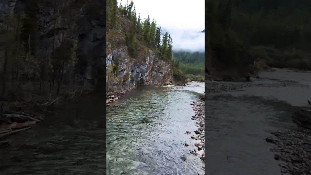 Природа Сибири. смотреть онлайн