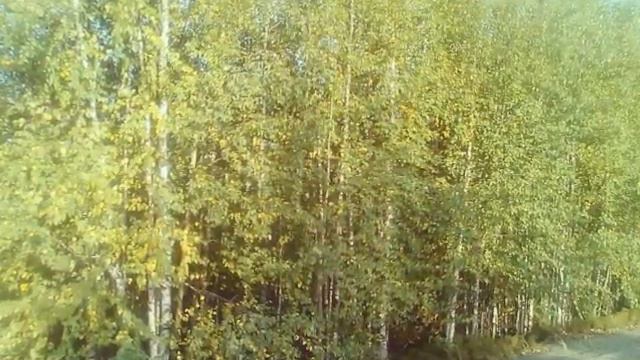 Самотлорское Месторождение смотреть онлайн