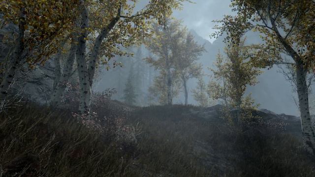 Skyrim Ambience | Ivarstead | 1 Hour Skyrim Ambient Scenery, Sounds, Music, Nature, Water, ASMR смотреть онлайн