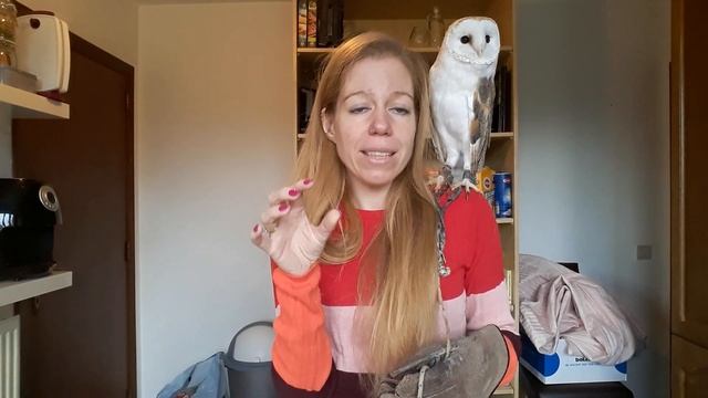 BASIC OWL CARE FOR BEGINNERS DO'S & DONT'S смотреть онлайн