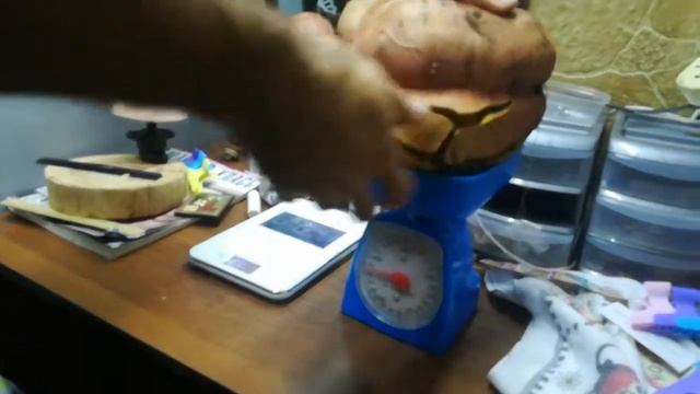 Батат на грядке Розума смотреть онлайн