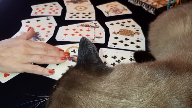 Крестовый ♣️ и что вас ждет с ним в ближайшее время ♥️♦️ смотреть онлайн