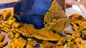 Родной город Сусуман