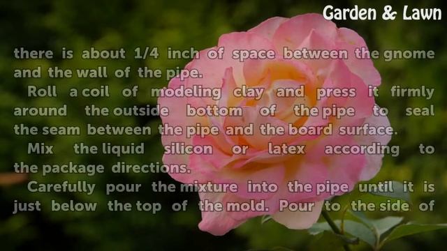 How to Create Garden Gnomes смотреть онлайн