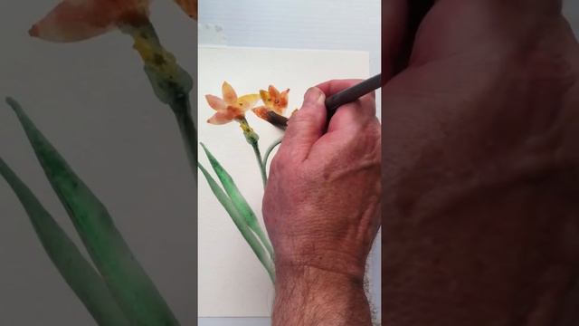 FREESIAS - Gouache and Water Colour смотреть онлайн