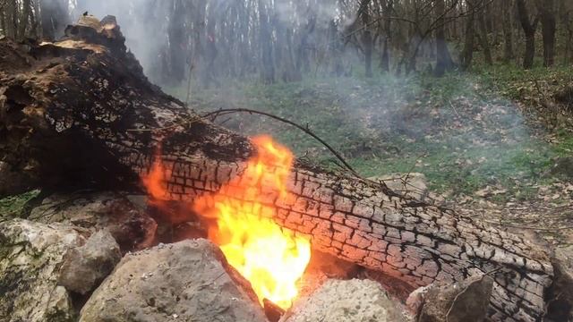 Батарея IPhone в костре