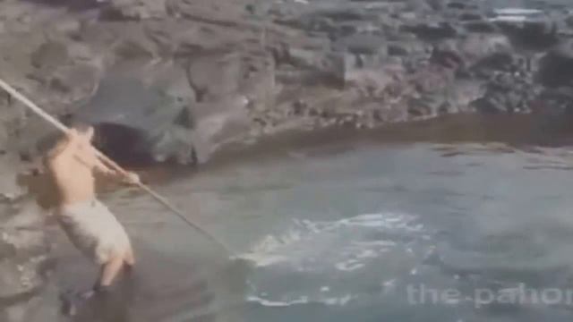 Ловля рыбы первобытным способам смотреть онлайн