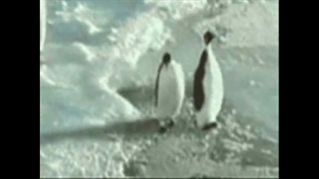 penguin push ultimate смотреть онлайн