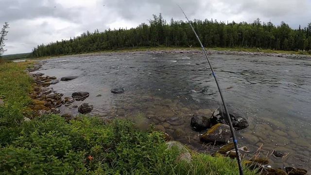 Рыбалка на горной реке! В погоне за хариусом! Часть 2 смотреть онлайн