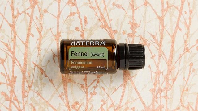 Фенхель смотреть онлайн