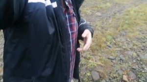 Молёбка. Аномальная зона, Пермский край.