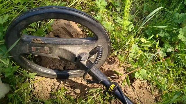 Поиск монет в полях Подмосковья смотреть онлайн