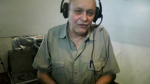 Стрим 34. Книга Ягдтерьер-Компаньон. Как учиться смотреть онлайн