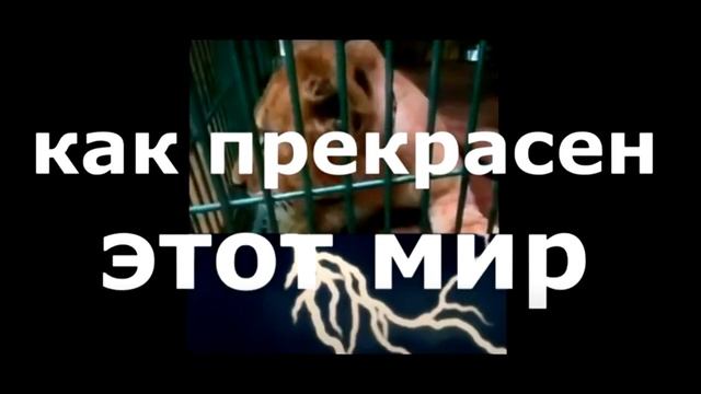 ЗАВТРА! ПОДПИШИСЬ.mp4 ТИГРАН ИЗ АНАПЫ смотреть онлайн
