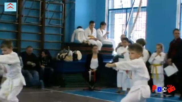 Турнир по каратэ в школе 1393 смотреть онлайн