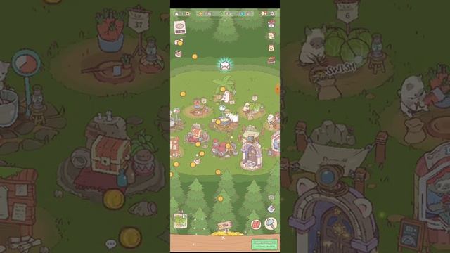 обзор кошки и суп