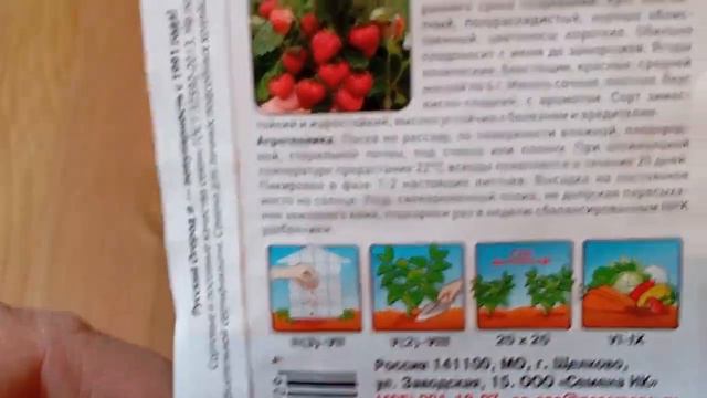 Земляника из семян - урожай в первый сезон. Моя рассада в феврале 2024 г. смотреть онлайн