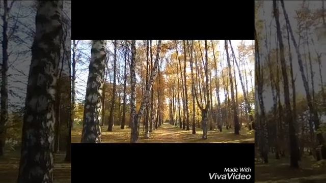 Vlog Пущино. Красивая осень 2018. смотреть онлайн